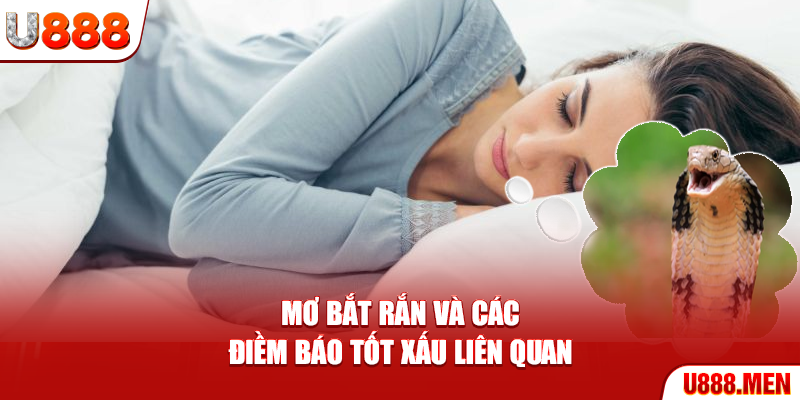 Mơ Bắt Rắn – Ý Nghĩa Giấc Mơ Và Điềm Báo Quan Trọng Mơ bắt rắn và các điềm báo tốt xấu liên quan