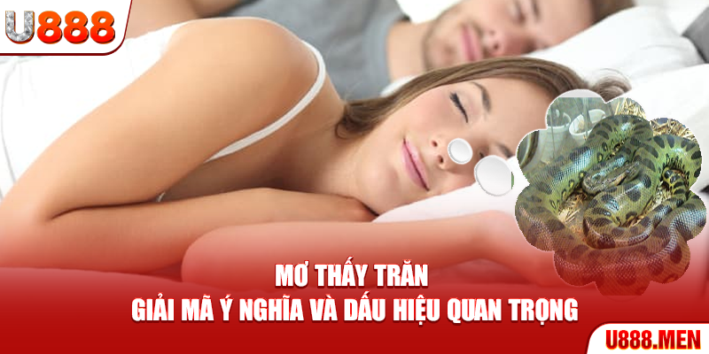 Mơ Thấy Trăn – Giải Mã Ý Nghĩa Và Dấu Hiệu Quan Trọng Mơ thấy trăn